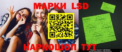 mdpv Заводоуковск