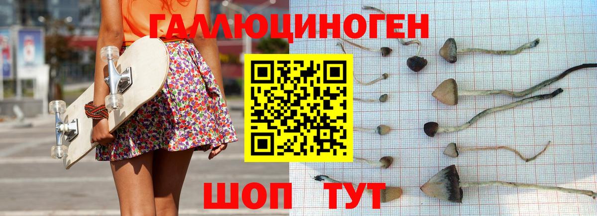 Галлюциногенные грибы Cubensis Ликино-Дулёво